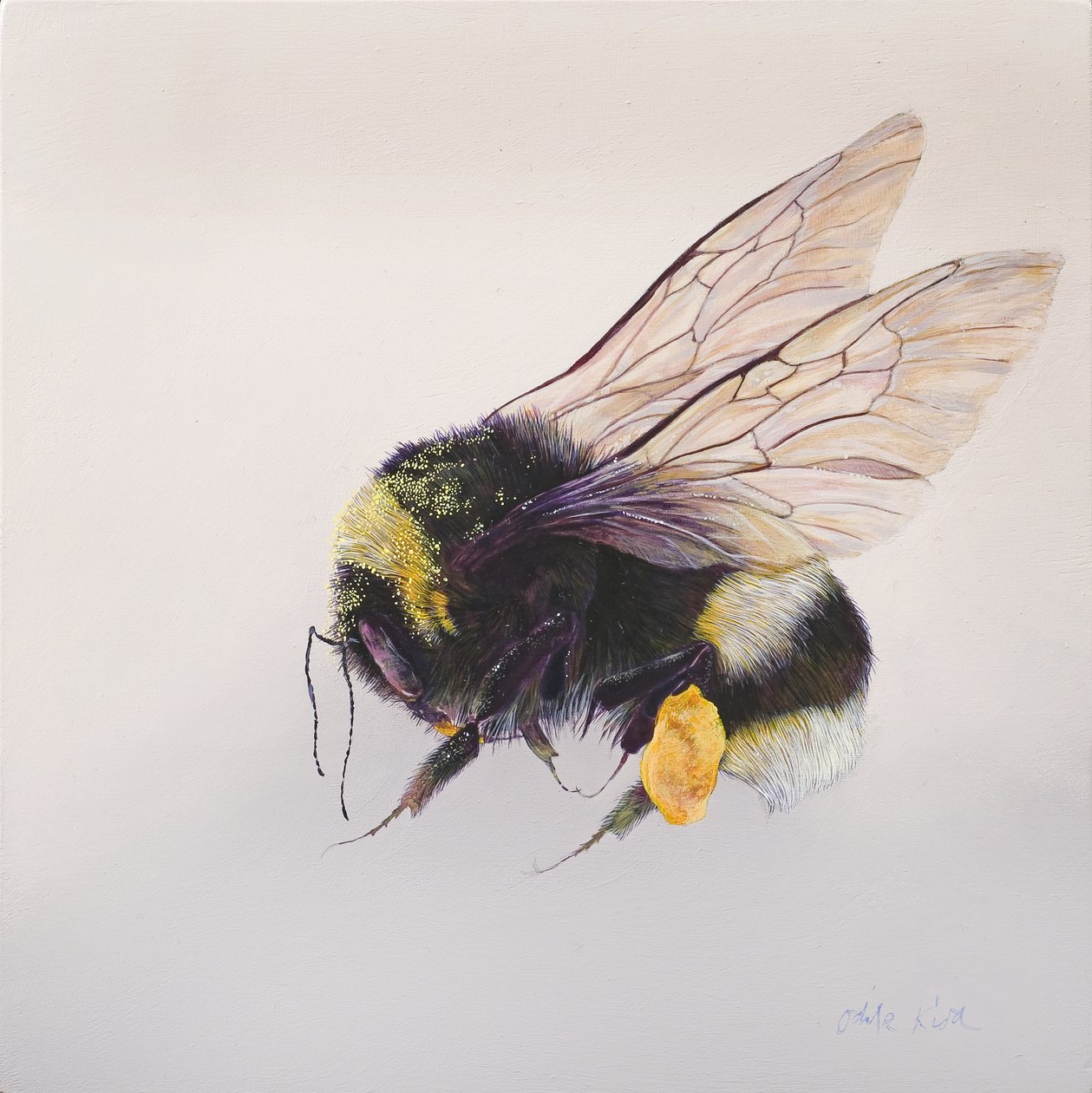  by Odile Kidd