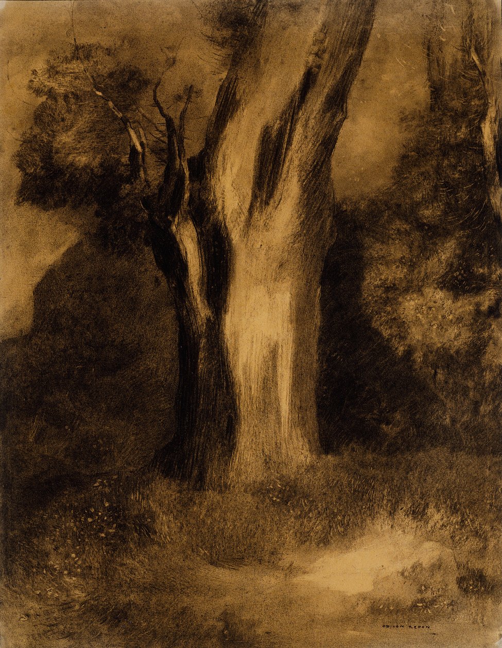  by Odilon Redon
