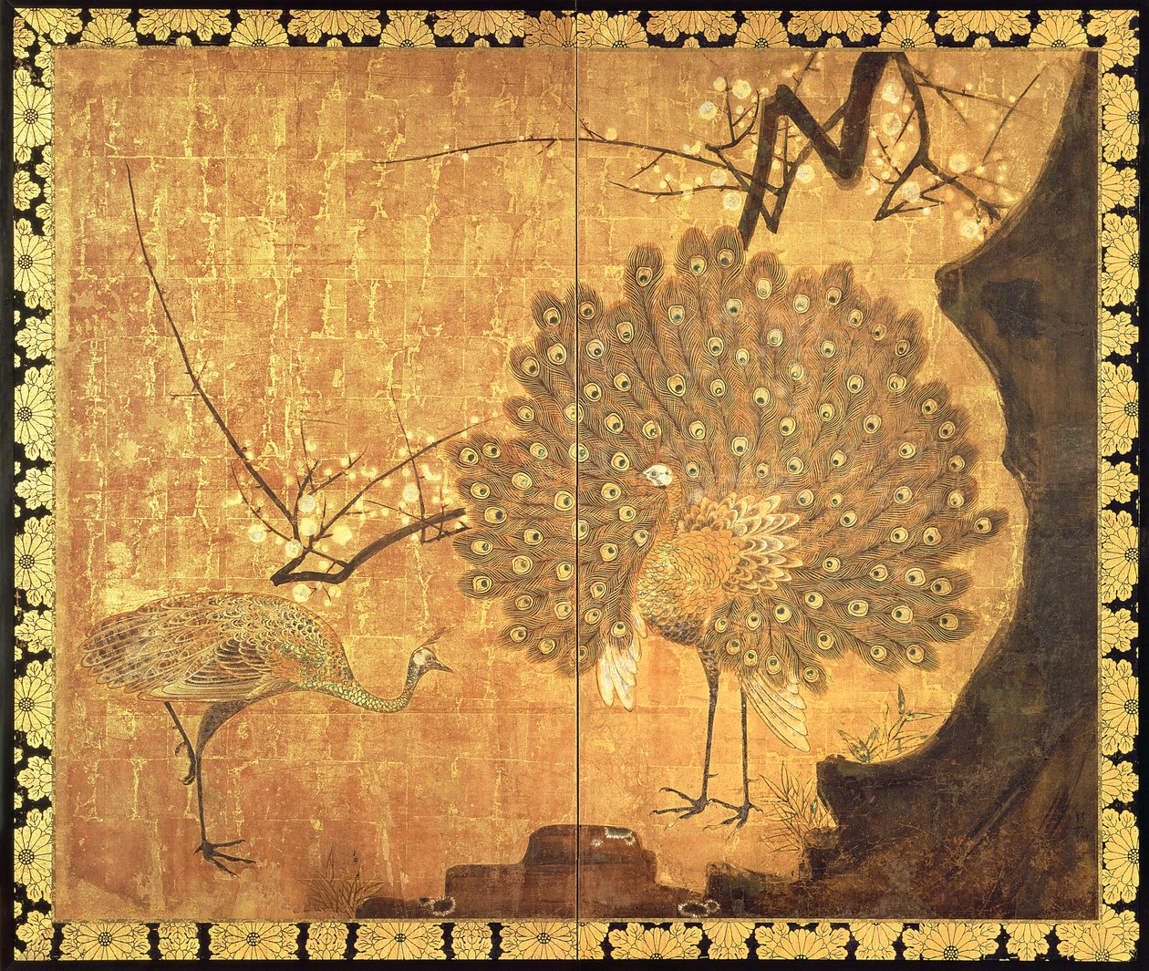 Peacocks, Edo Period (ink, colours und gold on paper) by Ogata Korin