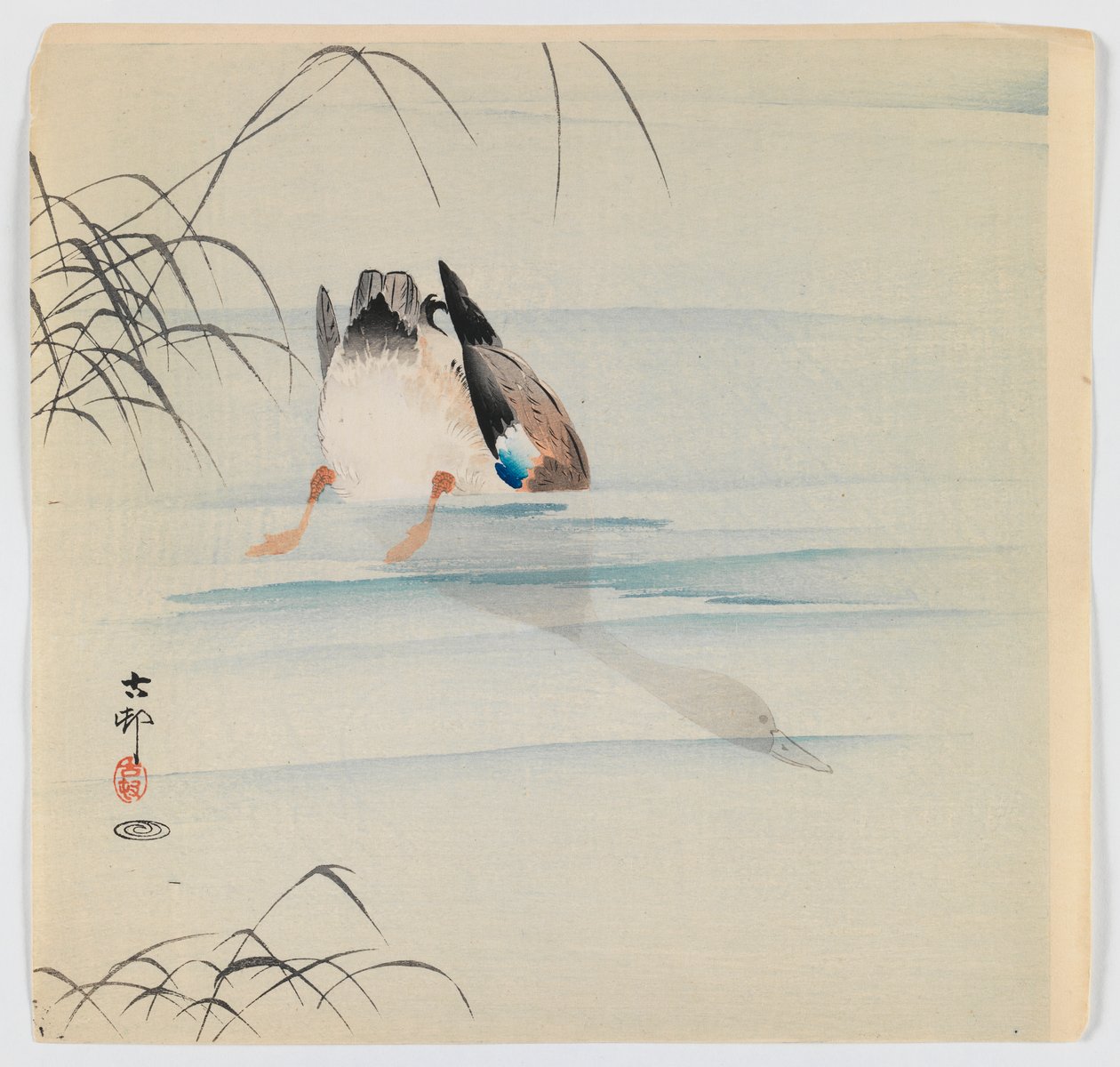Dalış Yeşilbaş, c.1910 (tahta blok renkli baskı) by Ohara Koson