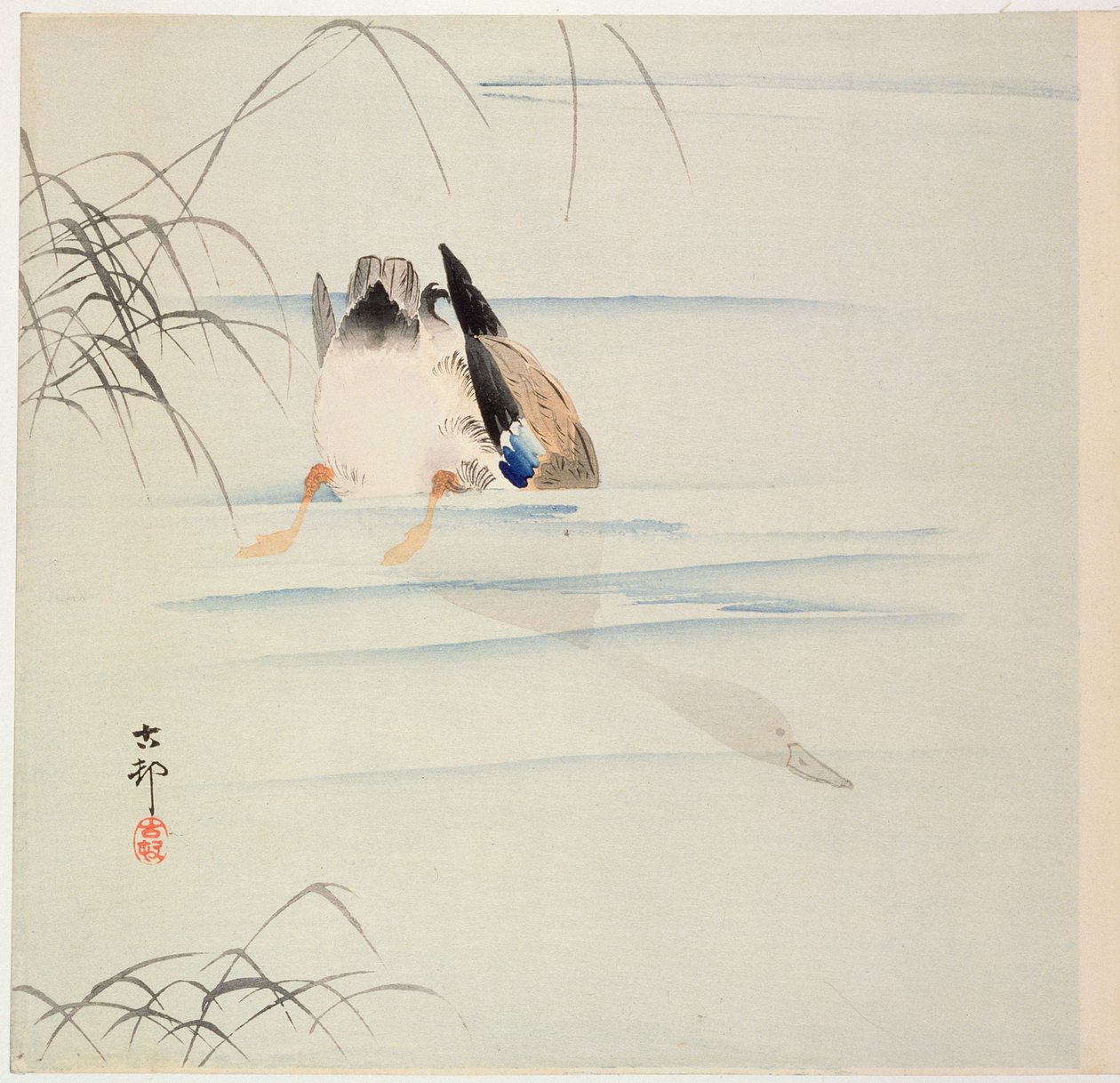 Ördek Dalışı, c. 1900'lerin başı (renkli tahta baskı) by Ohara Koson