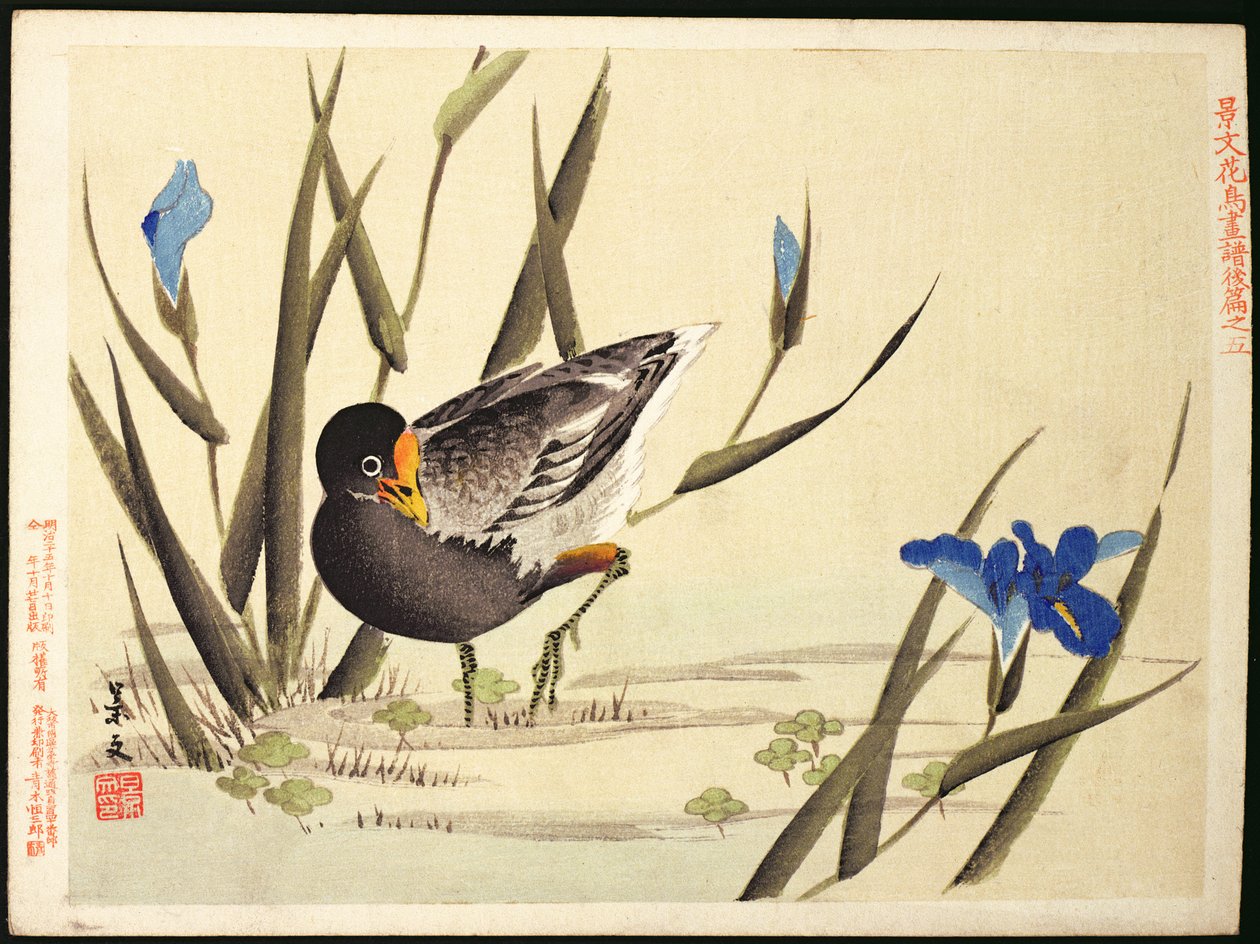Sürüngenler arasında, (renkli tahta baskı) by Ohara Koson