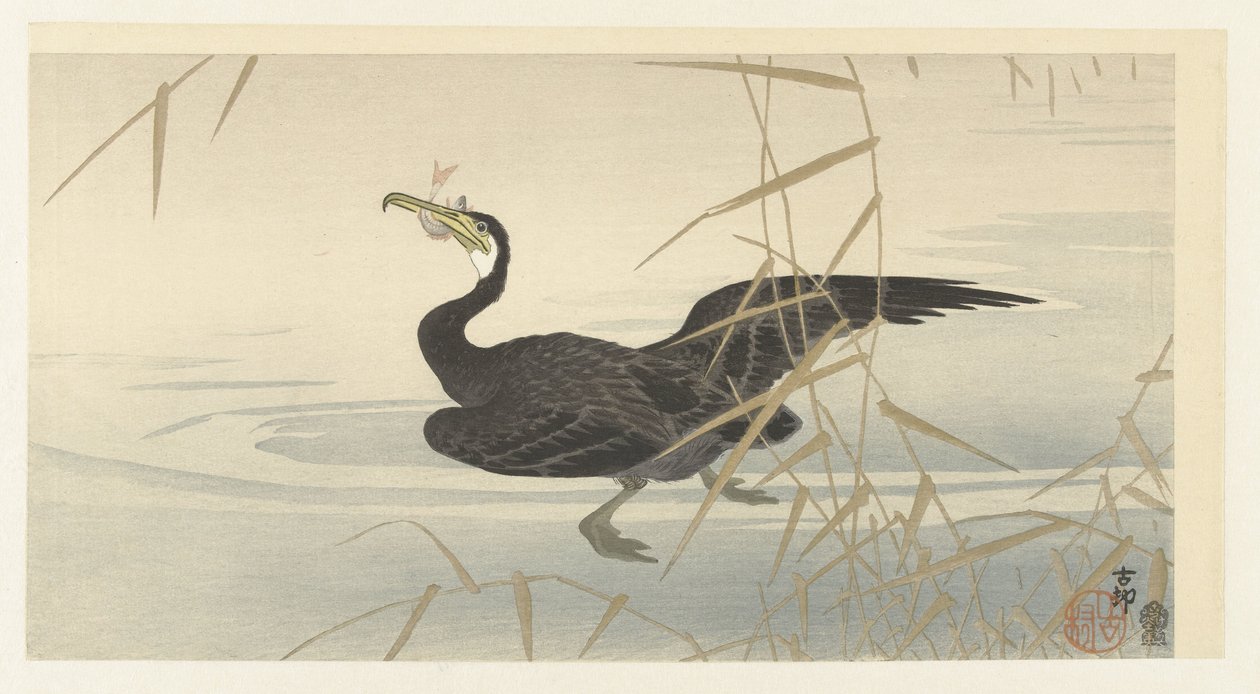balıklı karabatak by Ohara Koson