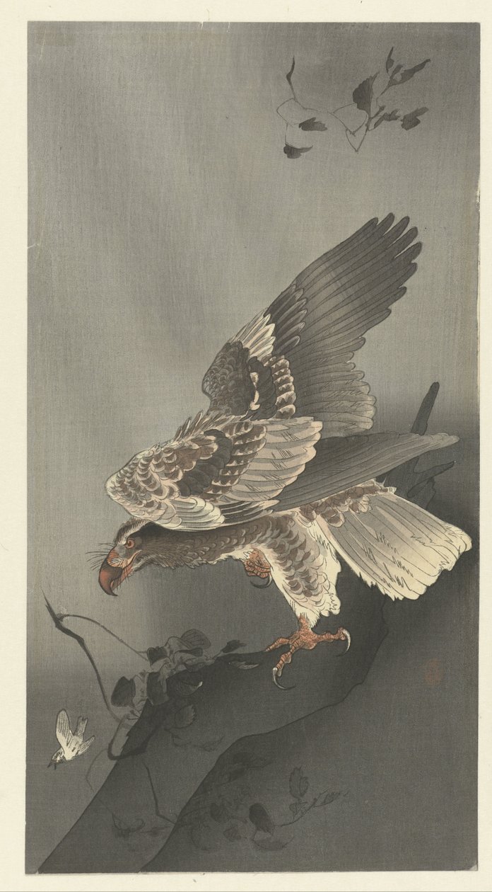Av için gizlenen kartal by Ohara Koson