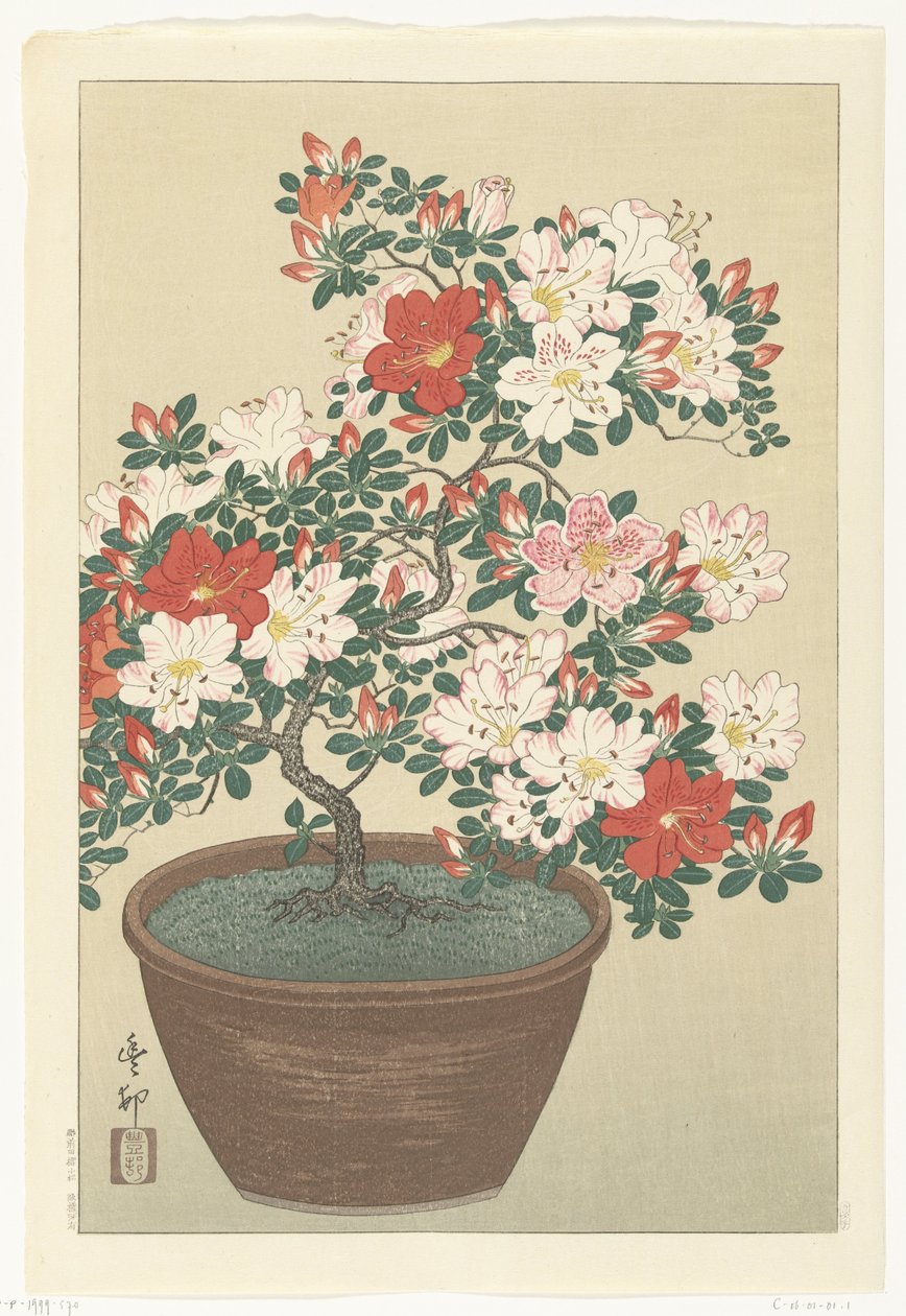 Kahverengi tencerede çiçek açan açelya by Ohara Koson