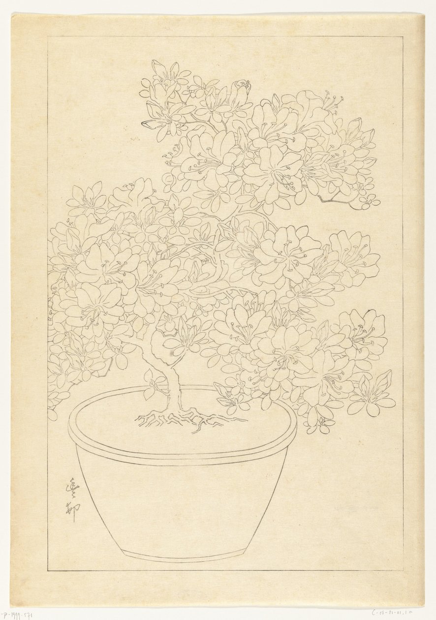 Tencerede çiçek açan açelya by Ohara Koson