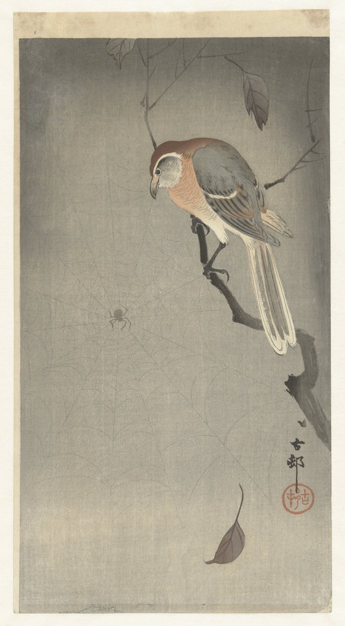 Bufalo Kafalı Örümcek ve Örümcek by Ohara Koson