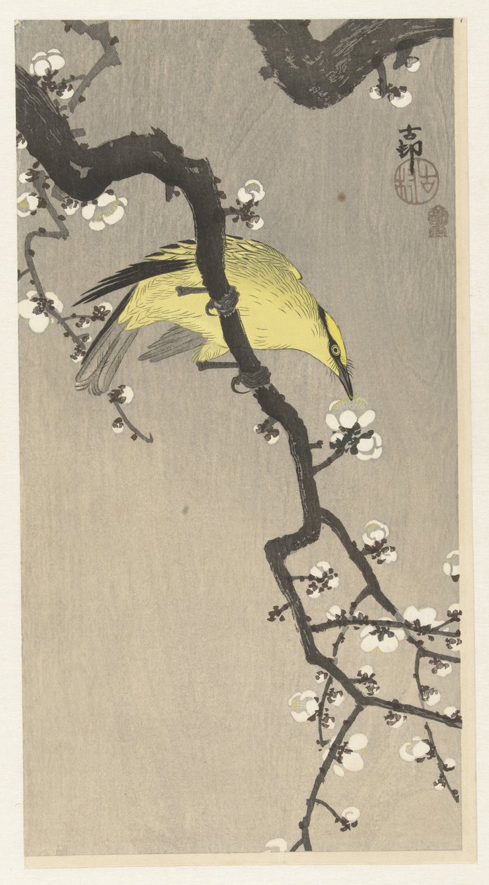 Erik çiçeği dalında Çin sarısı by Ohara Koson