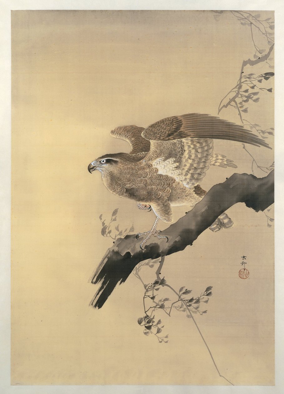 Şahin by Ohara Koson