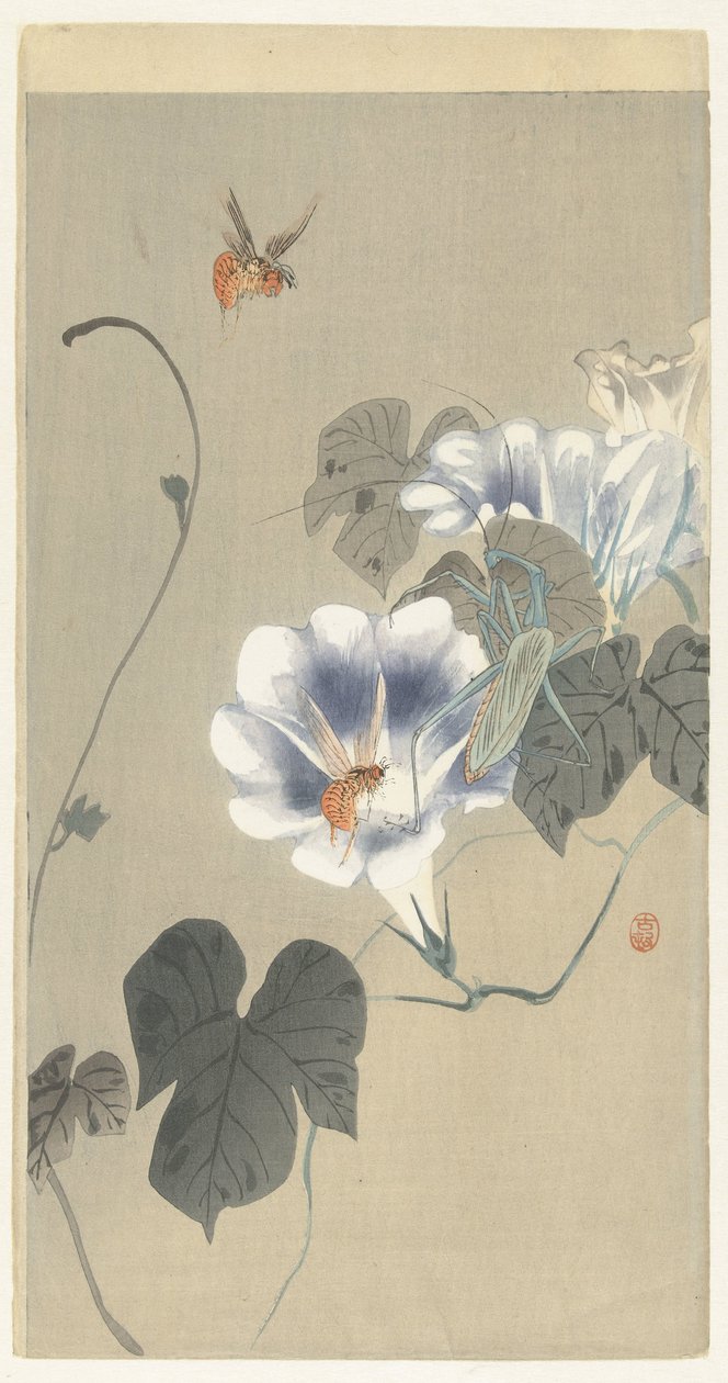 gündüzsefası böcekleri by Ohara Koson