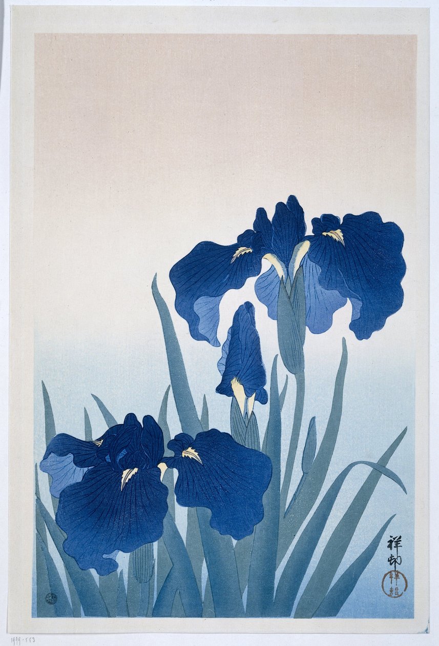 Süsen, 1925-36 (tahta baskı) by Ohara Koson