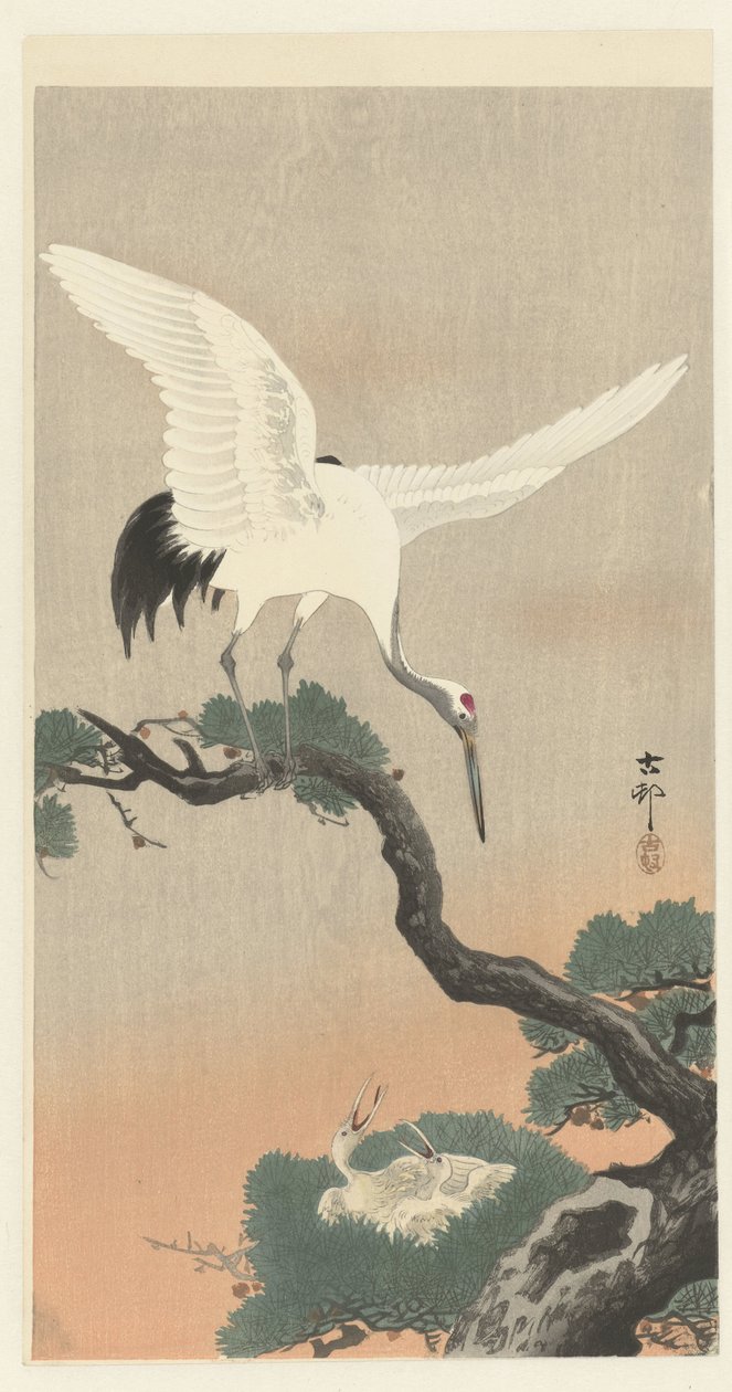 Çam ağacının dalında Japon vinç by Ohara Koson