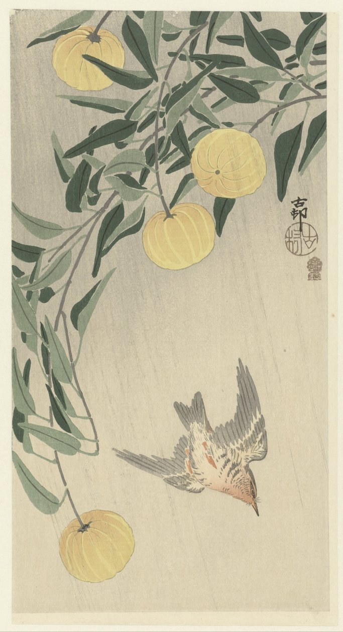 yağmurda guguk kuşu by Ohara Koson
