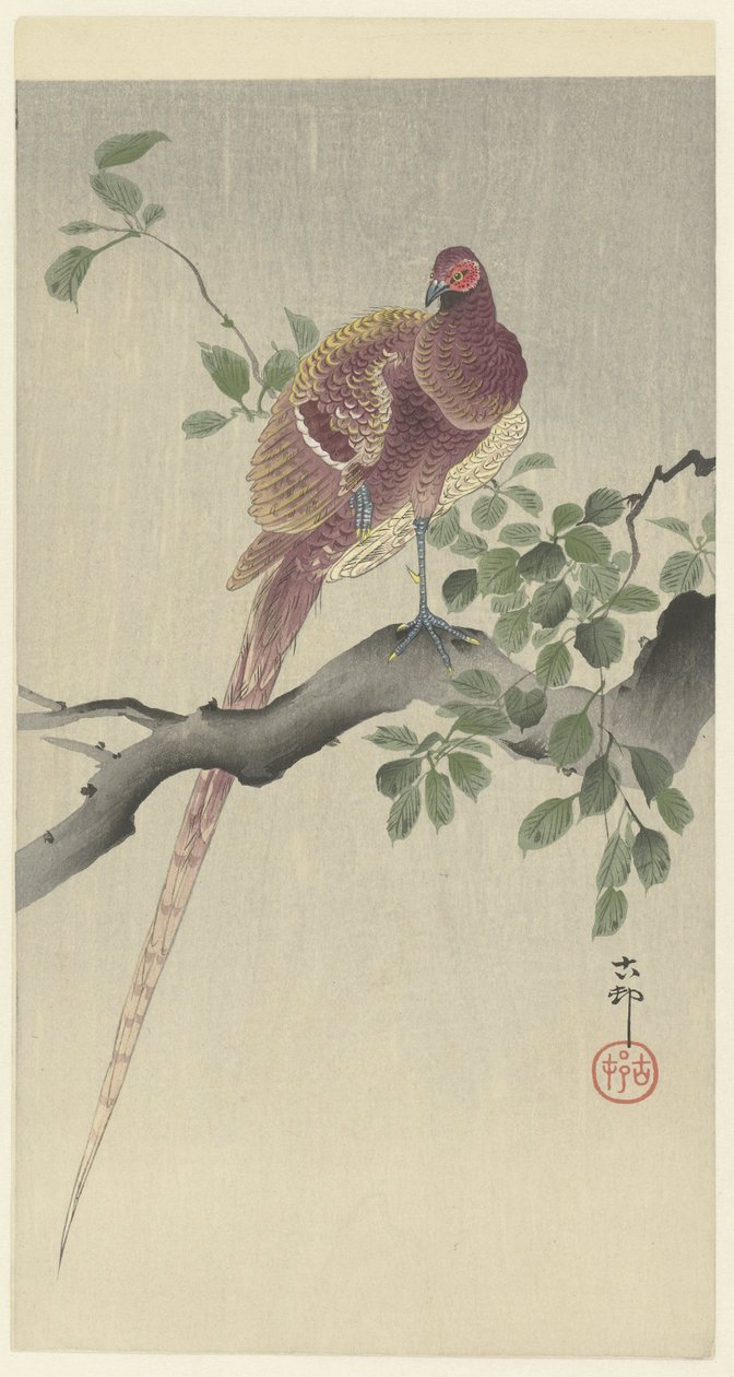 koperfazan by Ohara Koson