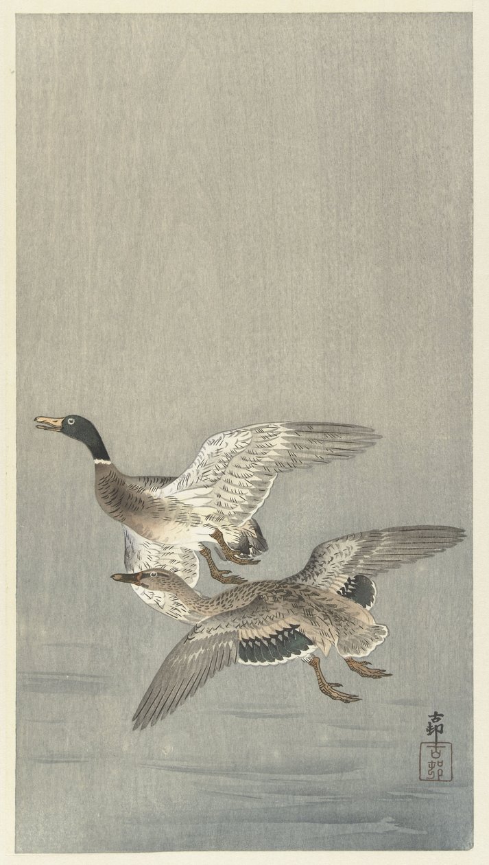Çift ördek by Ohara Koson