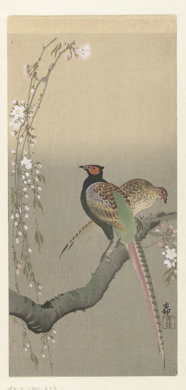 Sülün ve kiraz çiçeği çifti by Ohara Koson
