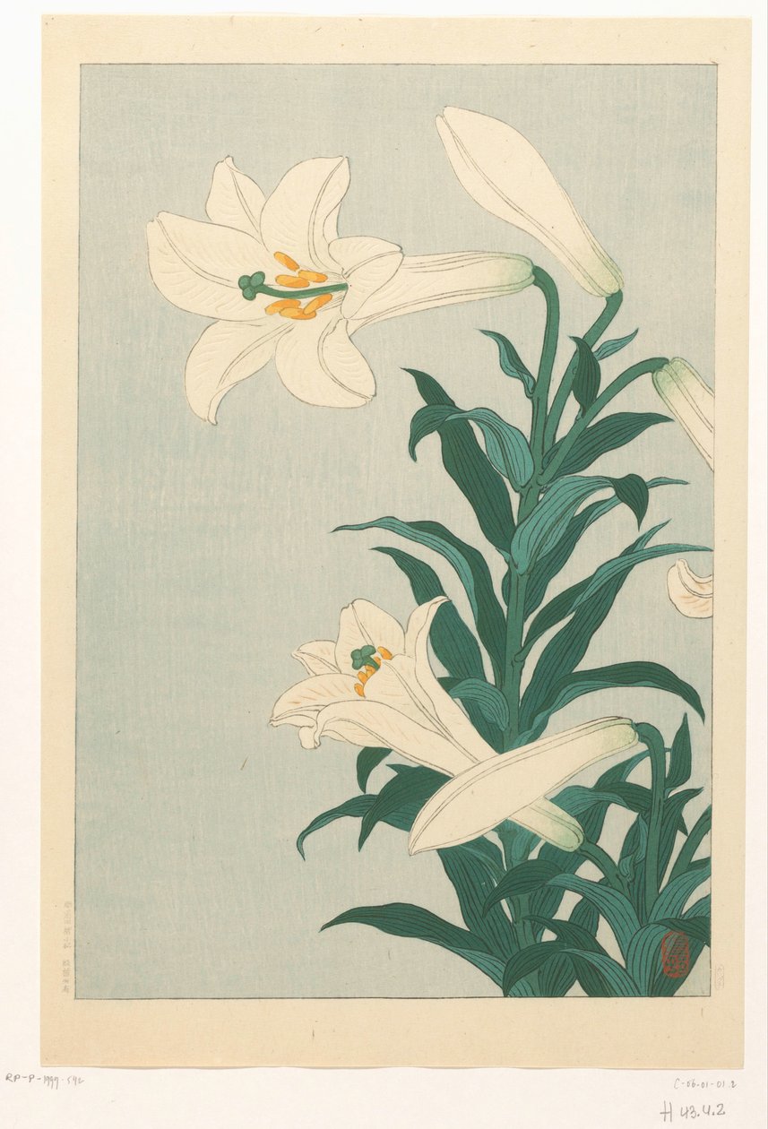 Lelies by Ohara Koson