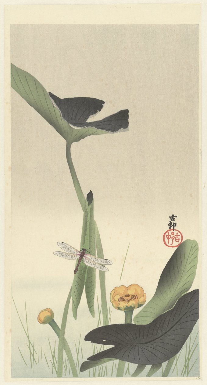 lotus iftira by Ohara Koson