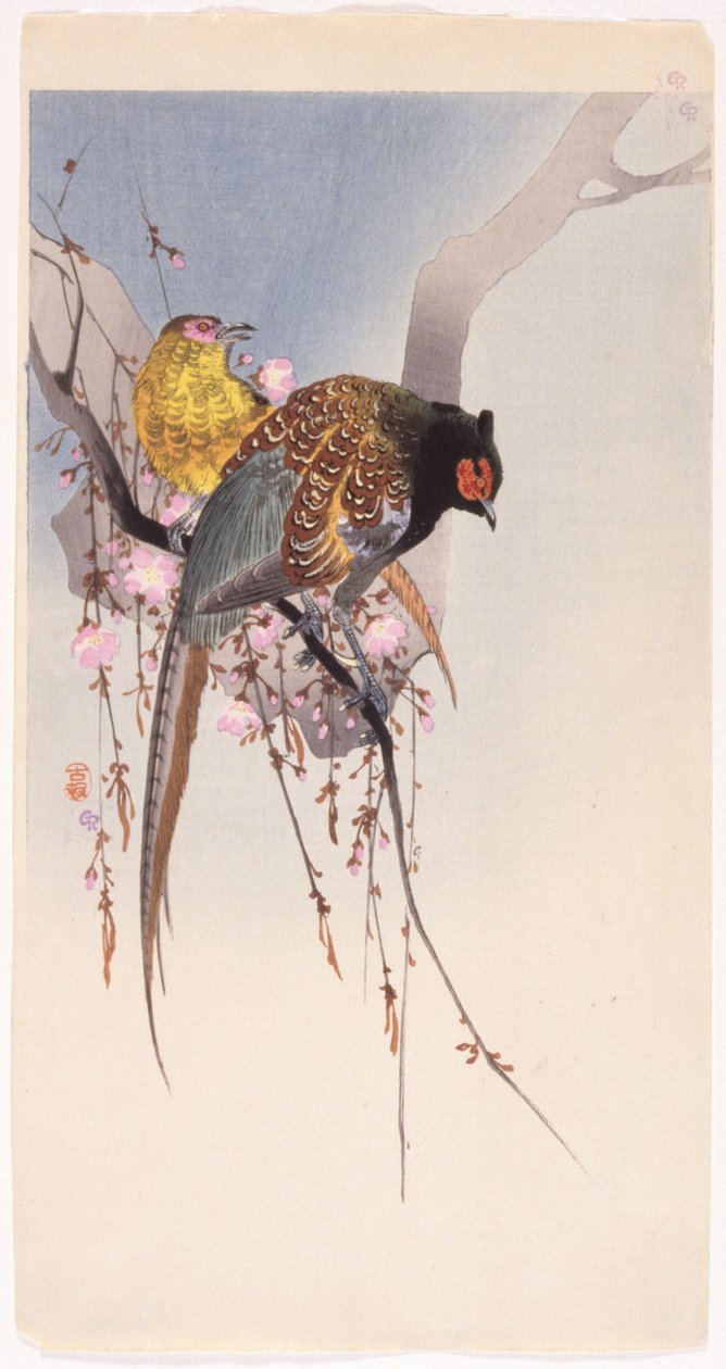 Sülünler ve Asma-Kiraz (renkli tahta baskı) by Ohara Koson
