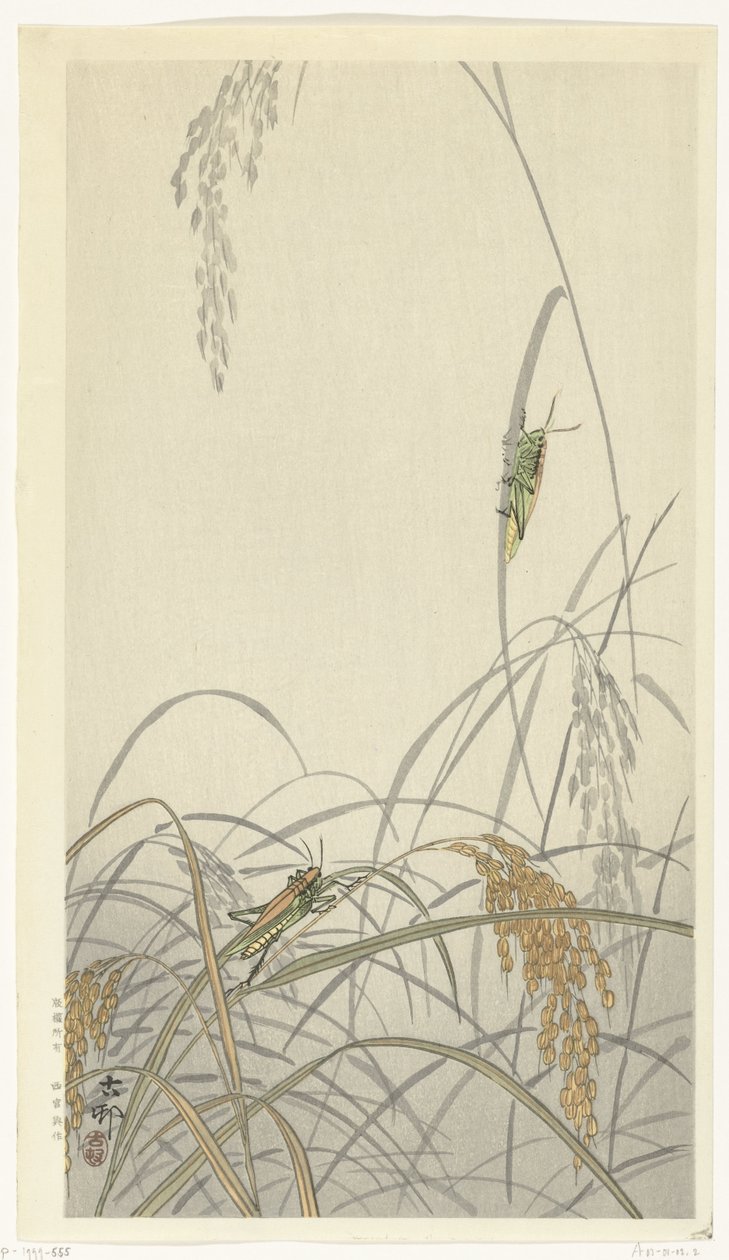 Pirinç bitkileri üzerinde çekirge by Ohara Koson