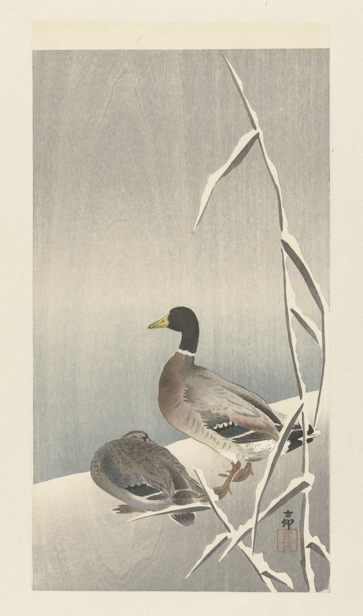 Karlı kamış üzerinde iki ördek by Ohara Koson