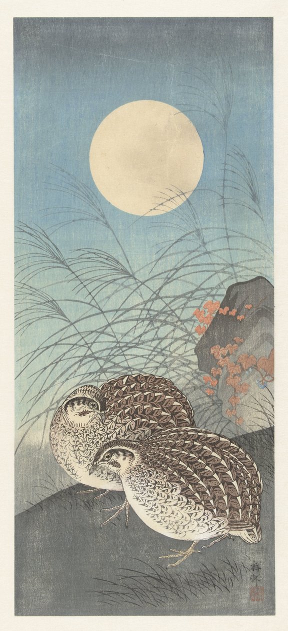 Dolunayda iki bıldırcın. by Ohara Koson