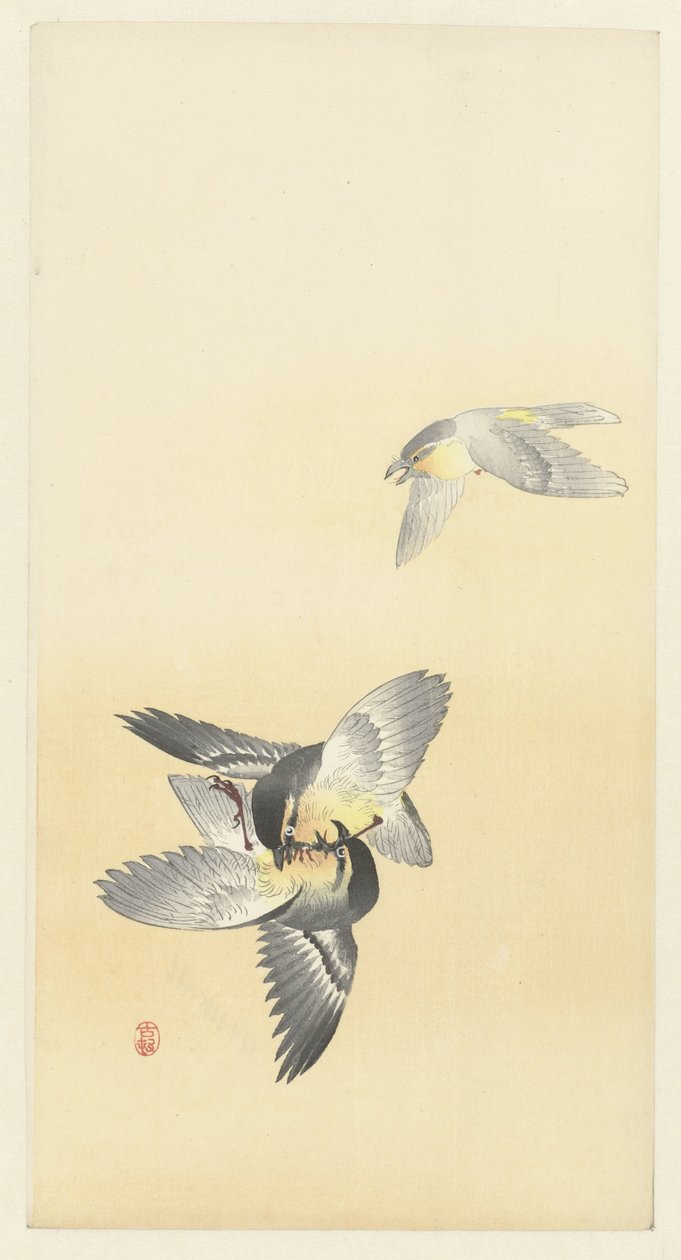 İki Savaşan Kuş by Ohara Koson