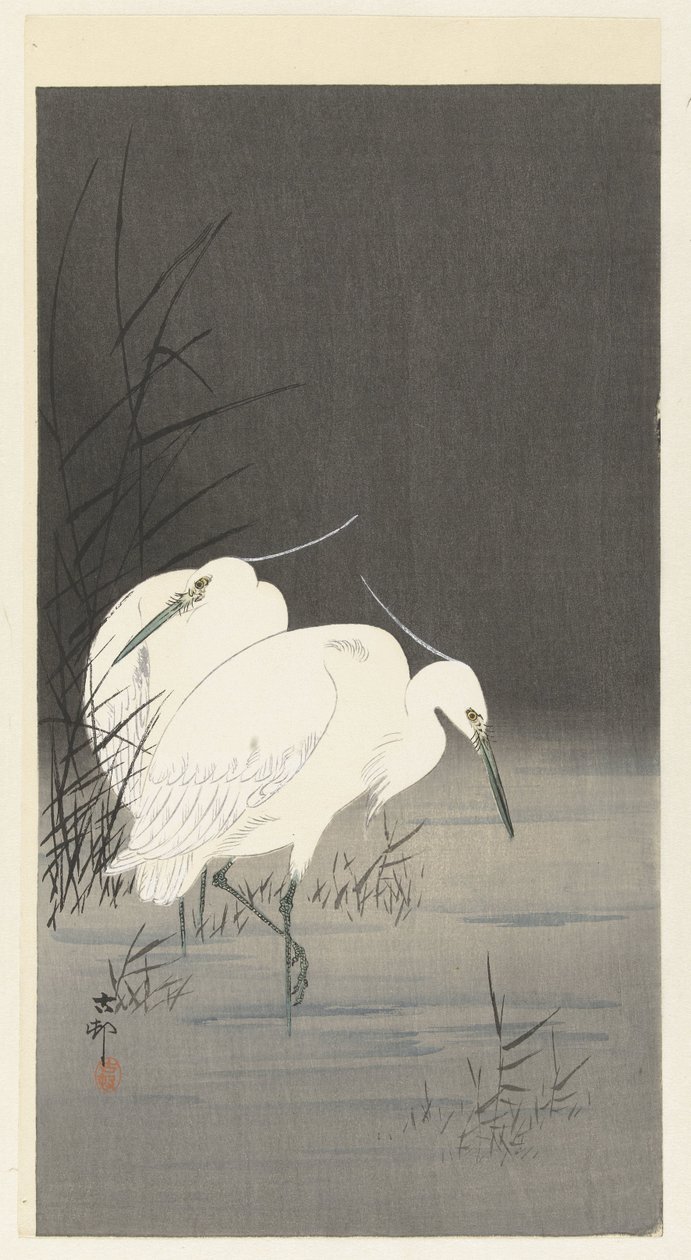 Sazlıklarda iki ak balıkçıl by Ohara Koson