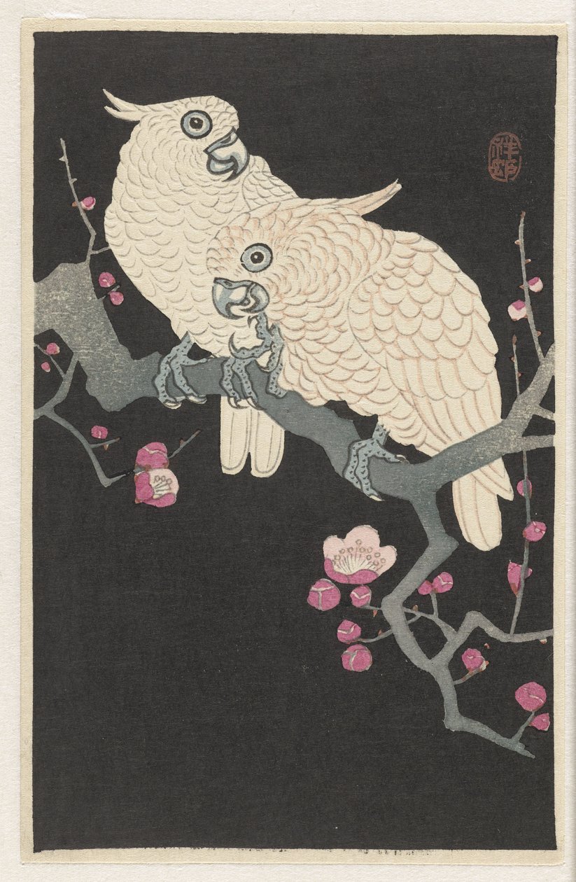 İki kakadu ve erik çiçeği by Ohara Koson
