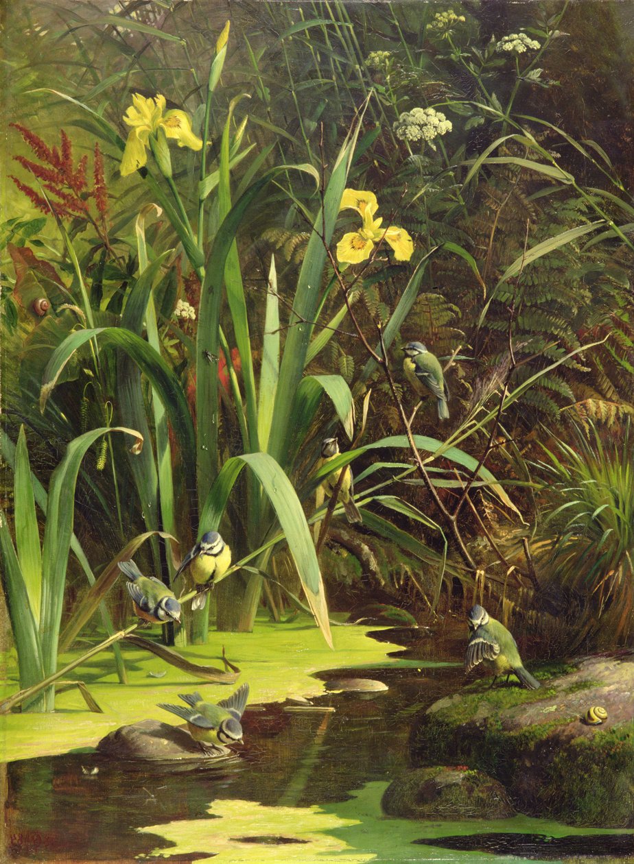 Banyo Zamanı, 1884 by Olaf August Hermansen
