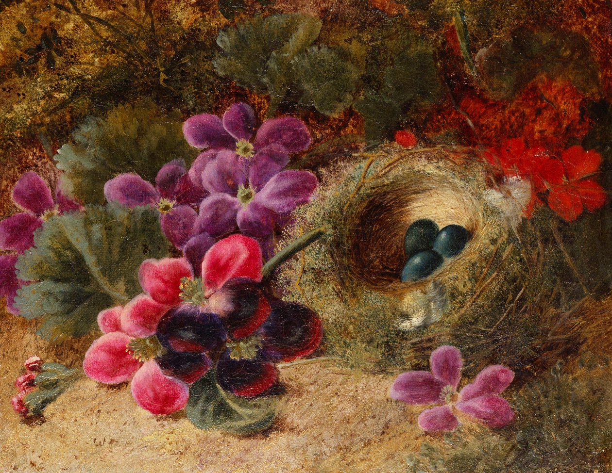 Bir Kuş Yuvası ve Sardunyalar by Oliver Clare