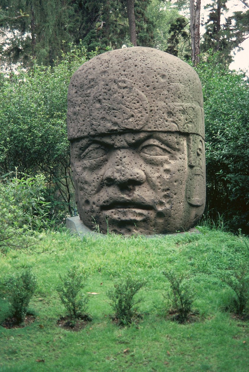 devasa kafa by Olmec