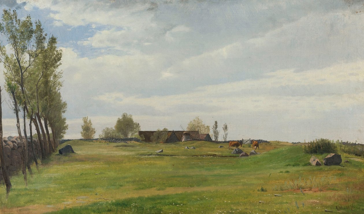 Doğuştan bir padok by Otto Haslund