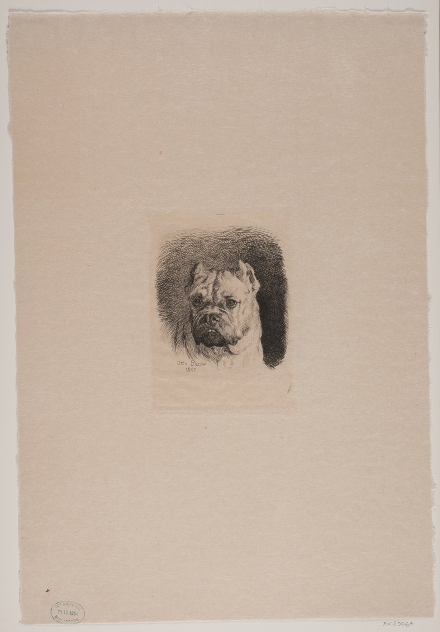Bir köpeğin kafası by Otto Bache