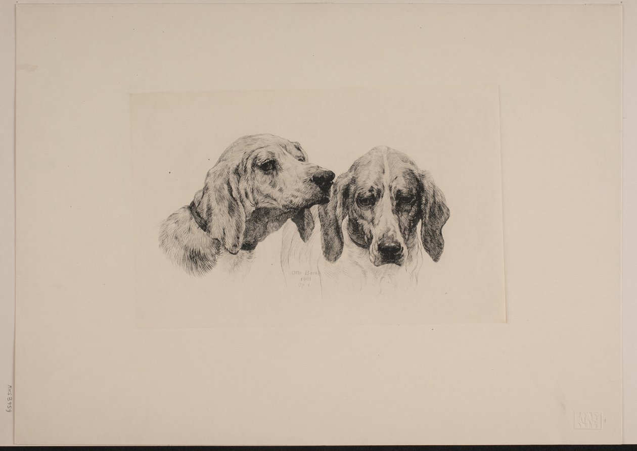 iki köpek kafası by Otto Bache