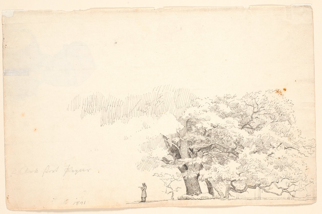 Büyük meşe ağaçları, t.v. okuyan adam. by P.C. Skovgaard