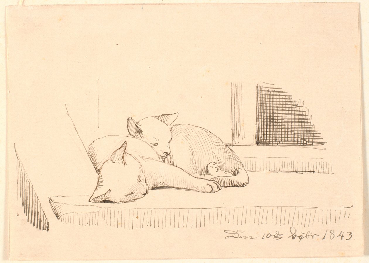 Uyuyan iki kedi. by P.C. Skovgaard