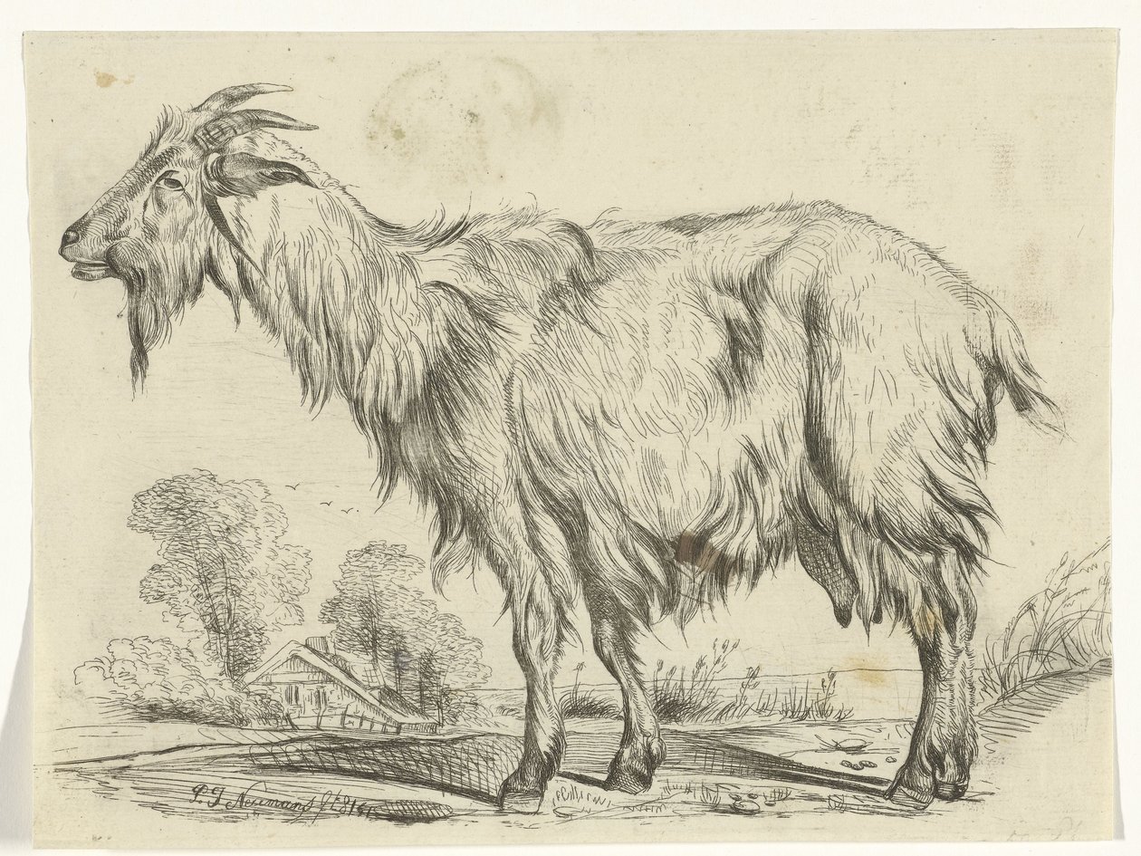 ayakta keçi by P.J. Neumans