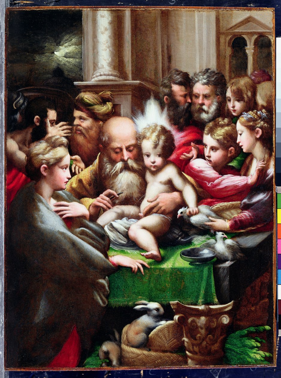 Sünnet, c.1523 by Parmigianino