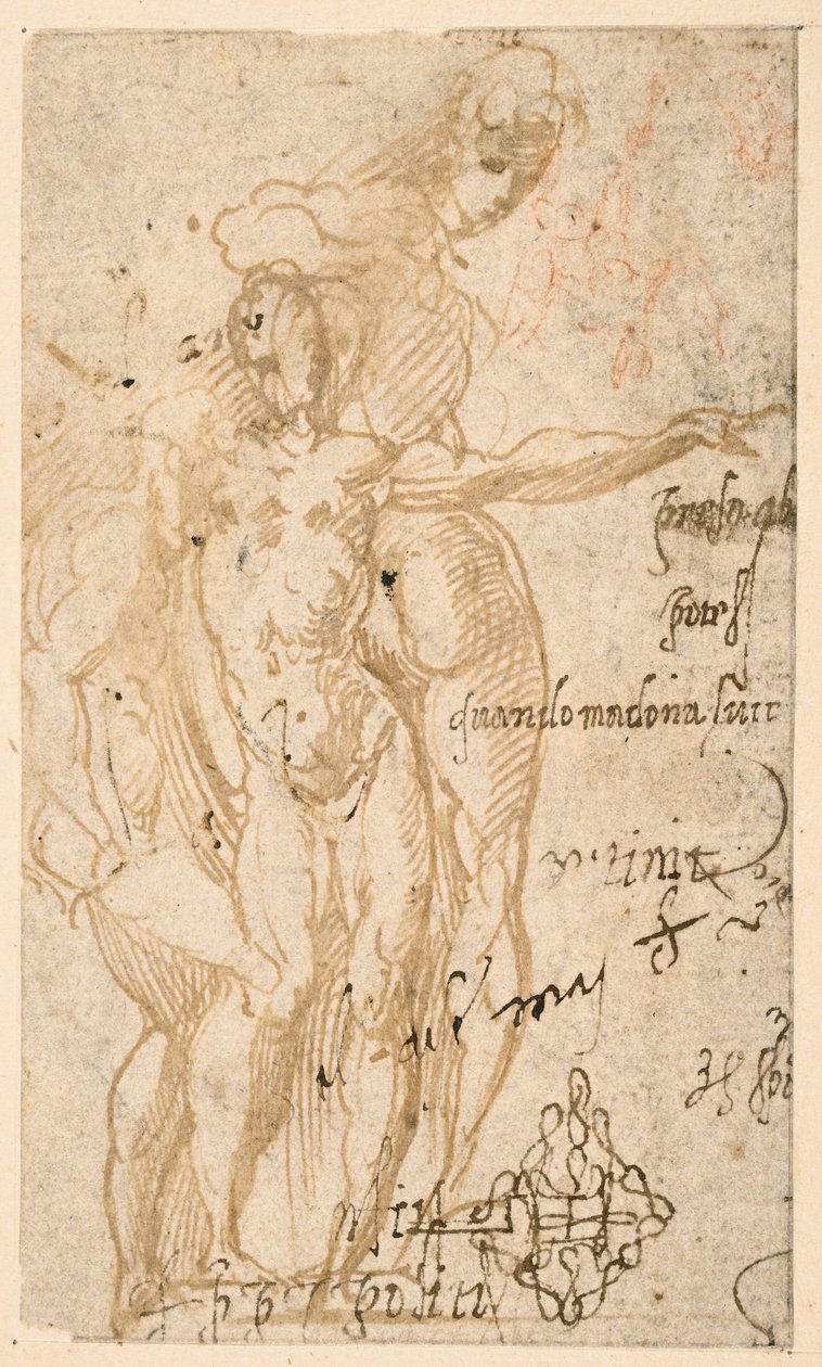 Üç çıplak figürün incelenmesi (rekto) by Parmigianino