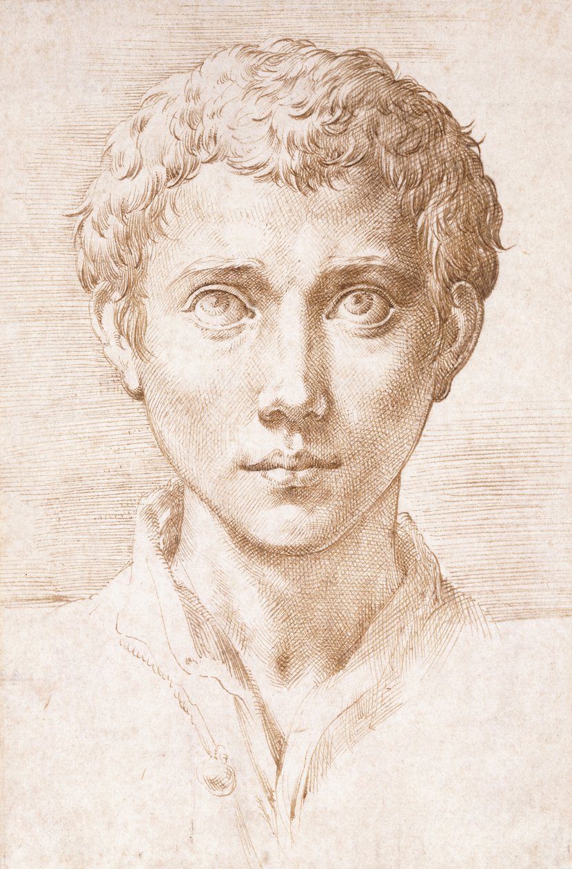Yukarıya bakan bir genç adamın başı, by Parmigianino