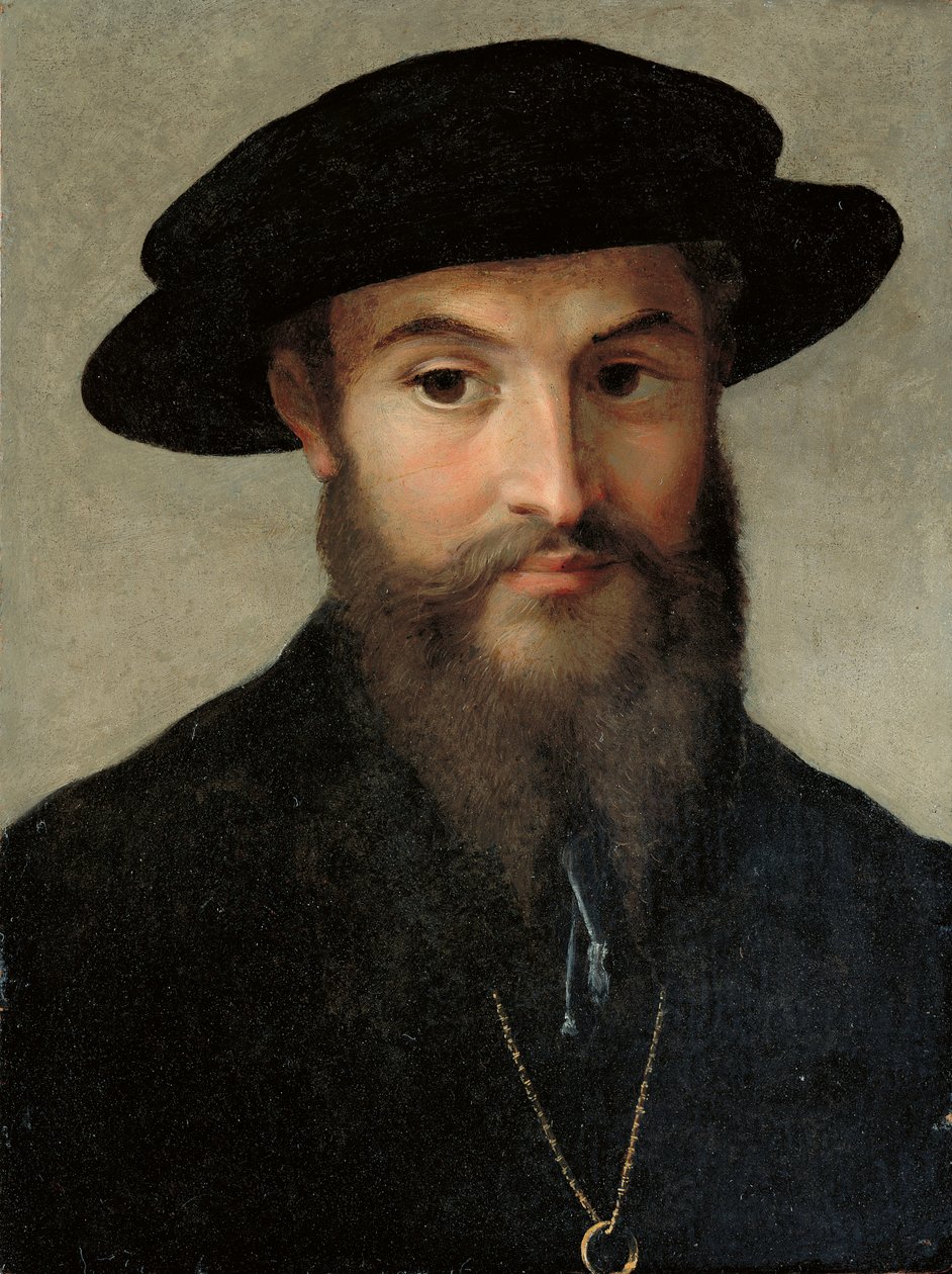 Sakallı bir adamın portresi by Parmigianino
