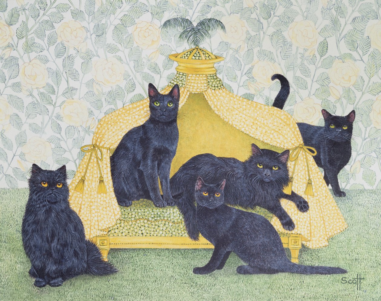  by Pat Scott