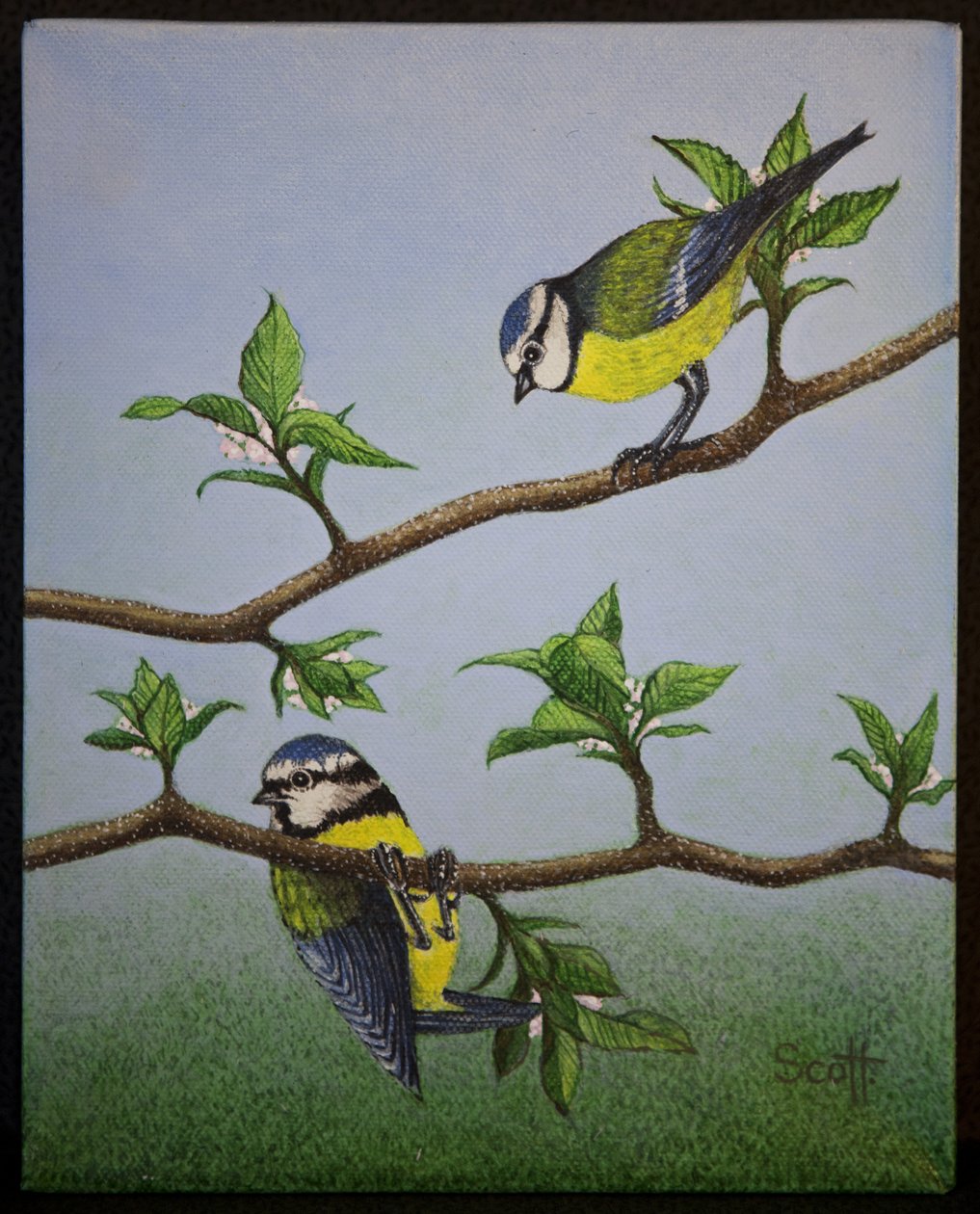  by Pat Scott