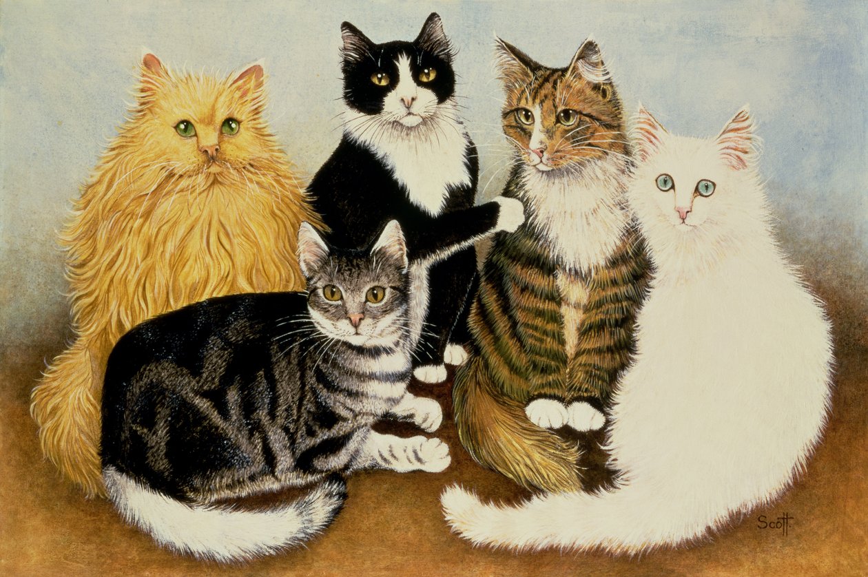 by Pat Scott