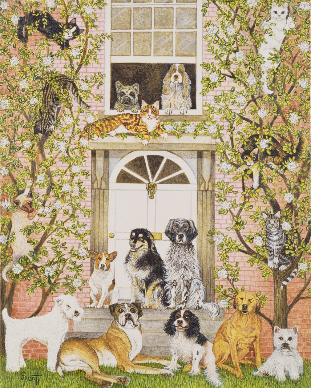 by Pat Scott