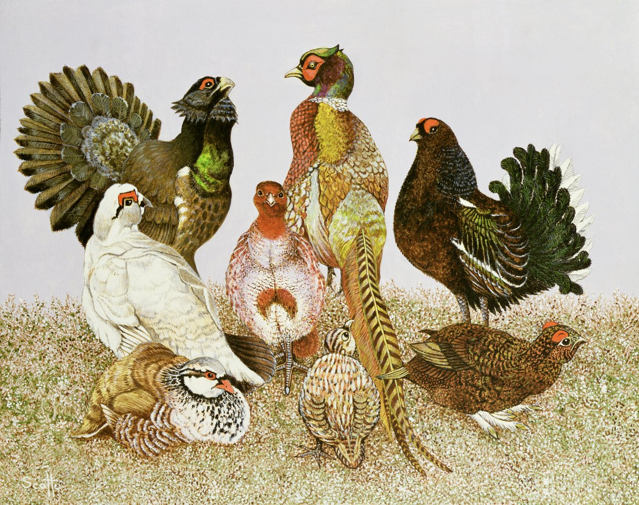  by Pat Scott