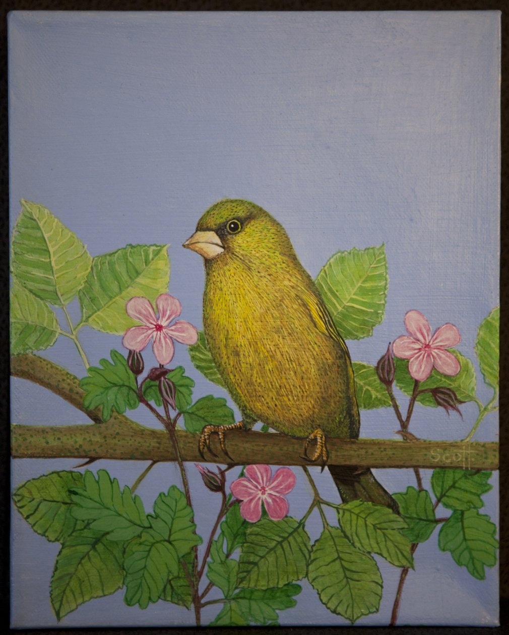  by Pat Scott