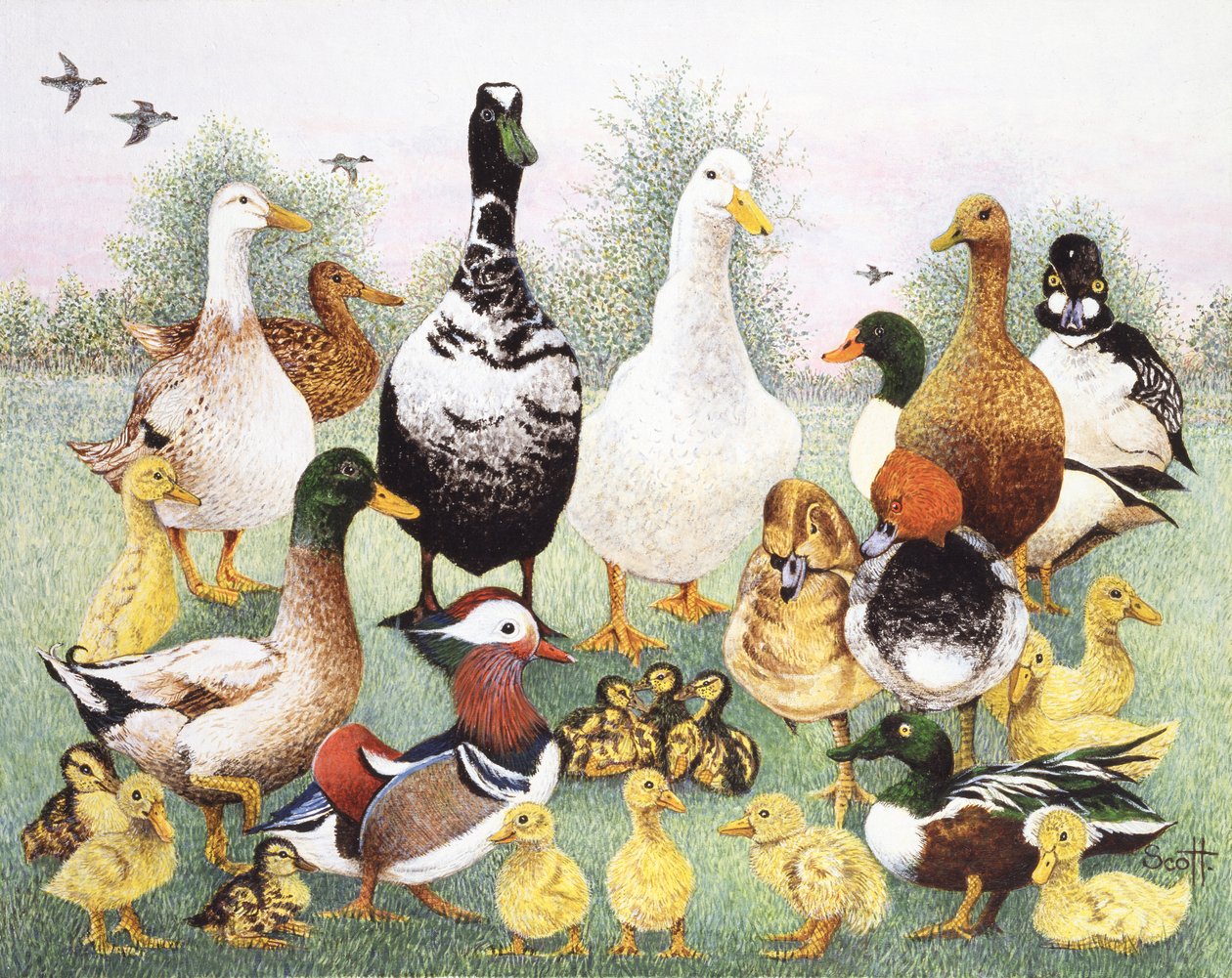  by Pat Scott