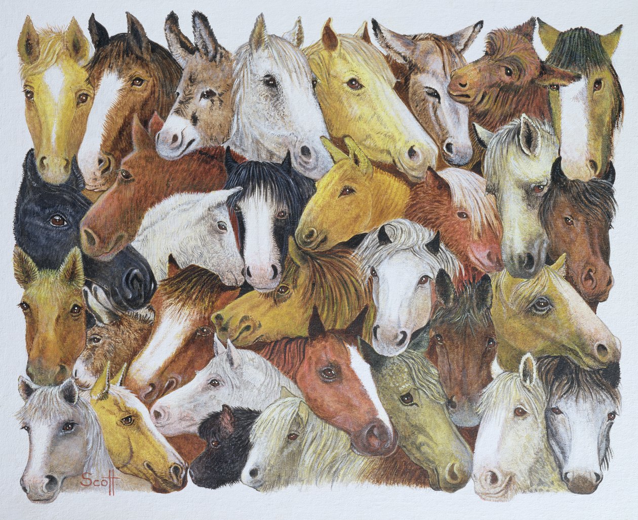  by Pat Scott
